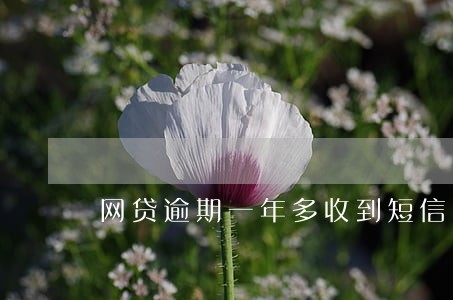 网贷逾期一年多收到短信 网贷逾期一年多收到短信