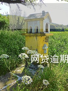 网贷逾期一年多没催收 网贷逾期一年多没催收