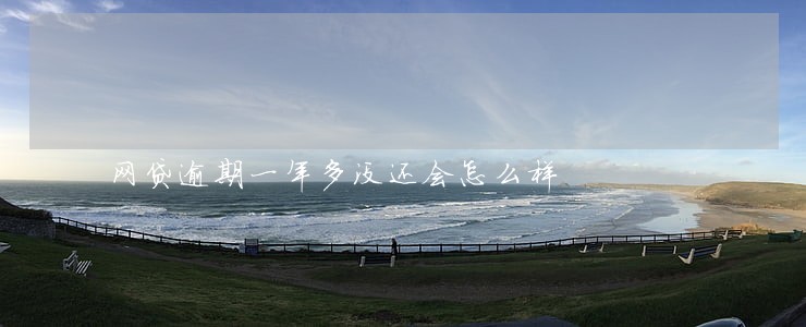 网贷逾期一年多没还会怎么样 网贷逾期一年多没还会怎么样