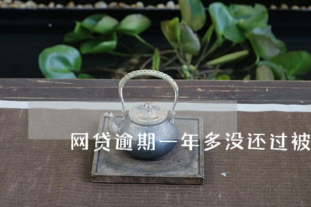 网贷逾期一年多没还过被起诉了 网贷逾期一年多没还过被起诉了