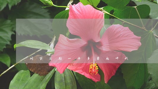 网贷逾期一年多要起诉我 网贷逾期一年多要起诉我