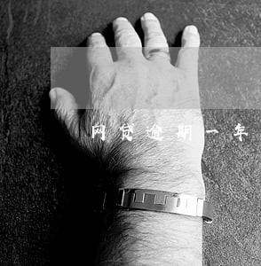 网贷逾期一年多还会催吗