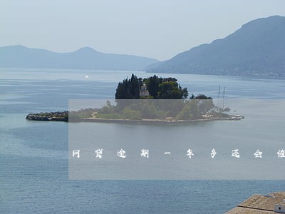 网贷逾期一年多还会催收吗