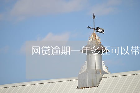 网贷逾期一年多还可以带吗