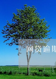 网贷逾期一年多还能借吗