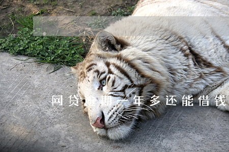 网贷逾期一年多还能借钱吗 网贷逾期一年多还能借钱吗