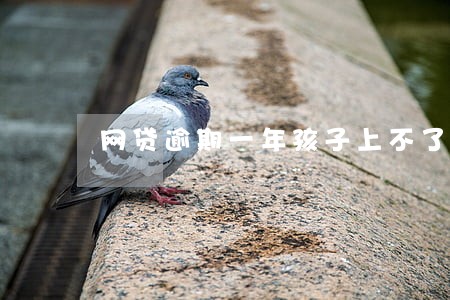 网贷逾期一年孩子上不了学吗 网贷逾期一年孩子上不了学吗