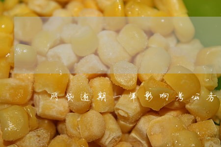 网贷逾期一年影响考公务员么 网贷逾期一年影响考公务员么