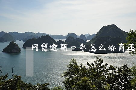 网贷逾期一年怎么协商还本金 网贷逾期一年怎么协商还本金