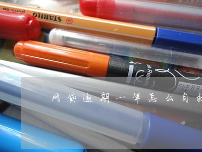 网贷逾期一年怎么自救 网贷逾期一年怎么自救