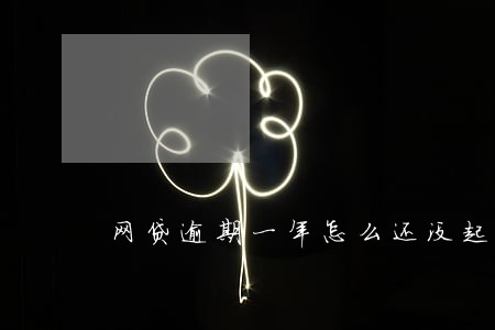 网贷逾期一年怎么还没起诉 网贷逾期一年怎么还没起诉