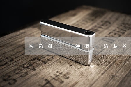 网贷逾期一年想还清怎么办 网贷逾期一年想还清怎么办