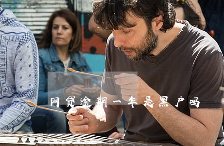 网贷逾期一年是黑户吗 网贷逾期一年是黑户吗
