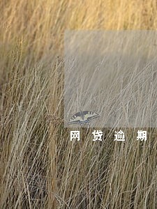 网贷逾期一年有影响吗 网贷逾期一年有影响吗