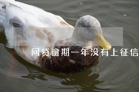 网贷逾期一年没有上征信 网贷逾期一年没有上征信