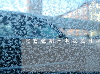 网贷逾期一年没还可以分期吗