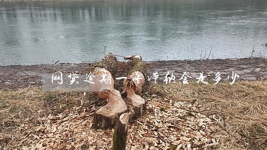 网贷逾期一年滞纳金是多少 网贷逾期一年滞纳金是多少