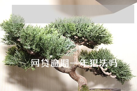 网贷逾期一年犯法吗 网贷逾期一年犯法吗