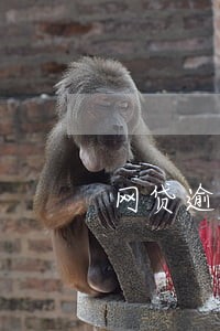 网贷逾期一年的现状 网贷逾期一年的现状