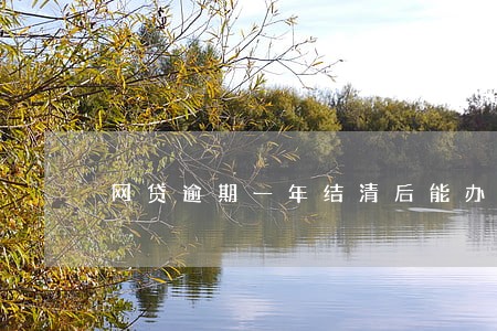 网贷逾期一年结清后能办信用卡吗 网贷逾期一年结清后能办信用卡吗