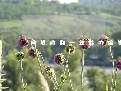 网贷逾期一年能办房贷吗 网贷逾期一年能办房贷吗