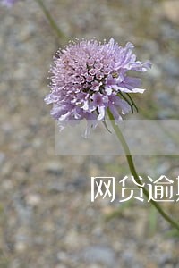 网贷逾期一年能考公务员吗 网贷逾期一年能考公务员吗