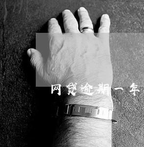 网贷逾期一年能贷款 网贷逾期一年能贷款