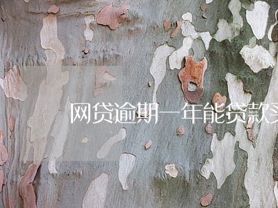 网贷逾期一年能贷款买车吗 网贷逾期一年能贷款买车吗