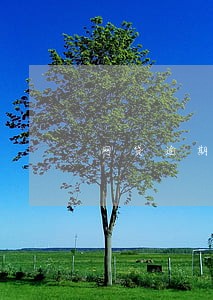 网贷逾期一年说要去公司找我