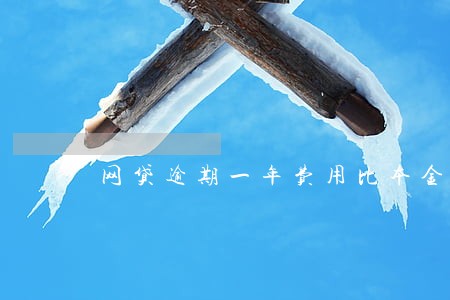 网贷逾期一年费用比本金还高 网贷逾期一年费用比本金还高