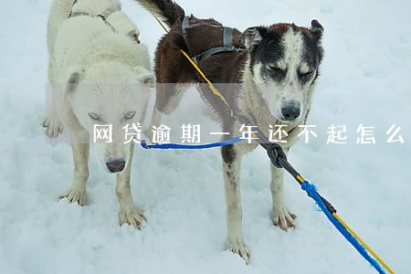 网贷逾期一年还不起怎么处理 网贷逾期一年还不起怎么处理