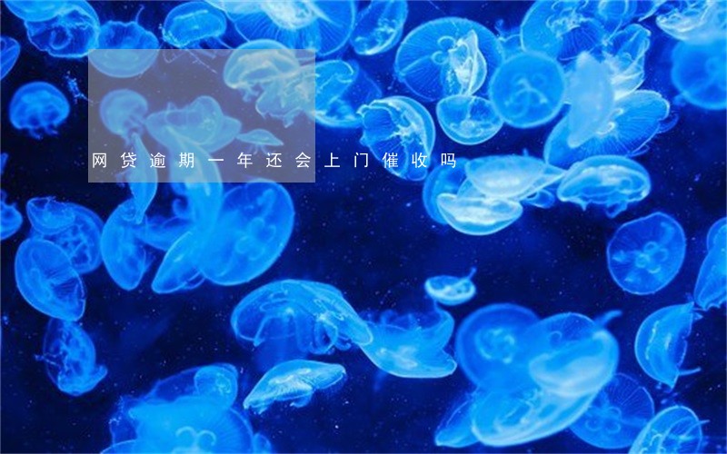网贷逾期一年还会上门催收吗 网贷逾期一年还会上门催收吗