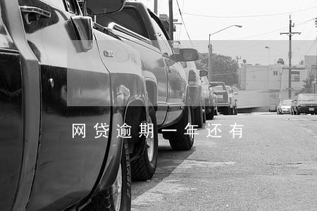 网贷逾期一年还有 网贷逾期一年还有