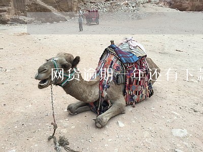 网贷逾期一年还有下款的吗