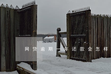 网贷逾期一年还款会怎样 网贷逾期一年还款会怎样