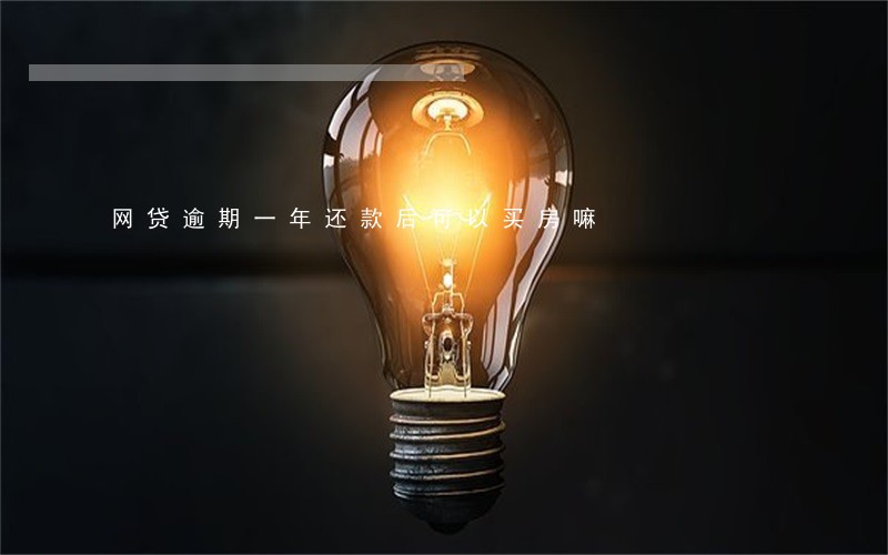网贷逾期一年还款后可以买房嘛 网贷逾期一年还款后可以买房嘛