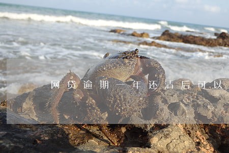 网贷逾期一年还清后可以去买车吗 网贷逾期一年还清后可以去买车吗