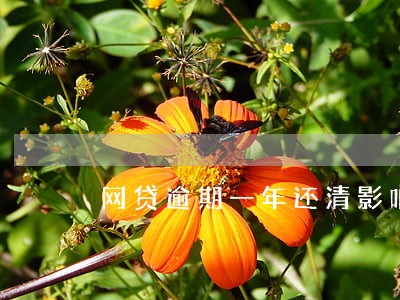 网贷逾期一年还清影响征信吗