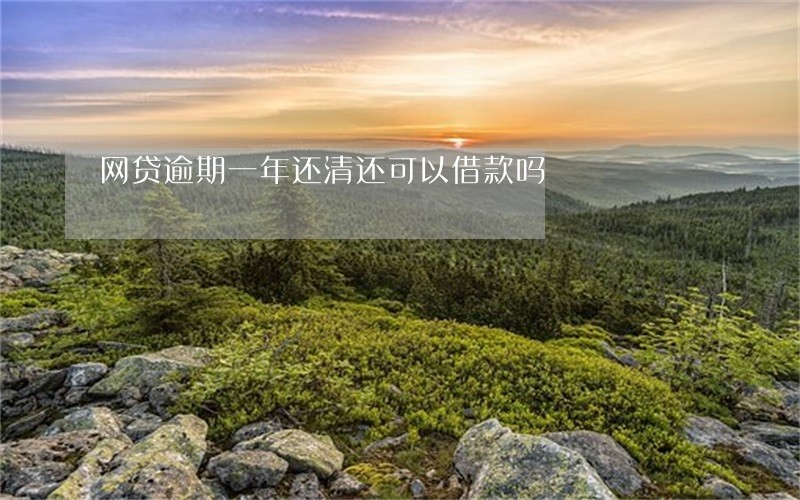 网贷逾期一年还清还可以借款吗 网贷逾期一年还清还可以借款吗