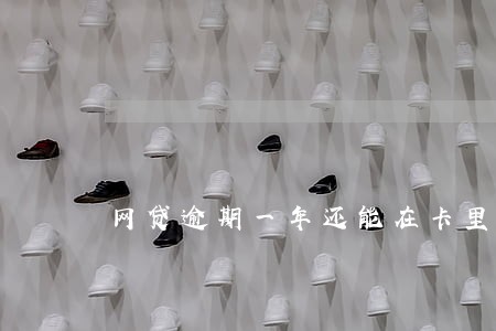 网贷逾期一年还能在卡里扣钱吗 网贷逾期一年还能在卡里扣钱吗