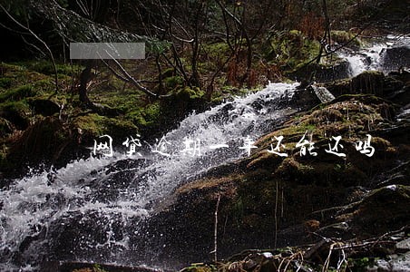 网贷逾期一年还能还吗 网贷逾期一年还能还吗