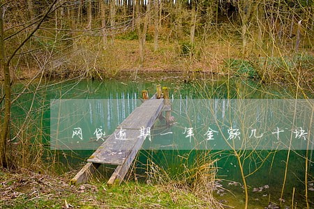 网贷逾期一年金额几十块 网贷逾期一年金额几十块