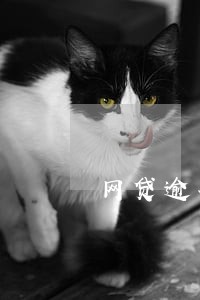 网贷逾期一开始要不要接电话 网贷逾期一开始要不要接电话