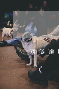 网贷逾期一星期翻倍