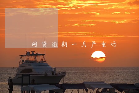 网贷逾期一月严重吗 网贷逾期一月严重吗