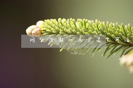 网贷逾期一月少还点可以吗 网贷逾期一月少还点可以吗