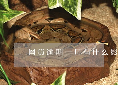 网贷逾期一月有什么影响 网贷逾期一月有什么影响