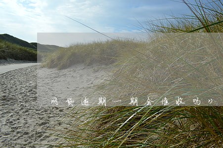 网贷逾期一期会催收吗》 网贷逾期一期会催收吗》