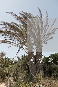 网贷逾期一期会节约全额还款吗 网贷逾期一期会节约全额还款吗