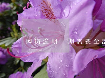 网贷逾期一期需要全部结清吗 网贷逾期一期需要全部结清吗